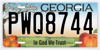 GA license plate PWQ8744