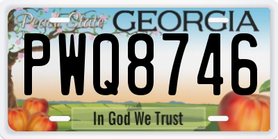 GA license plate PWQ8746
