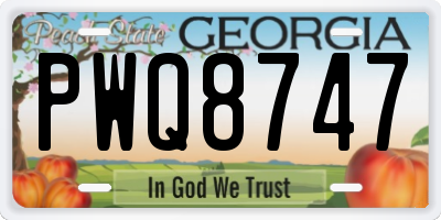GA license plate PWQ8747