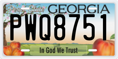 GA license plate PWQ8751