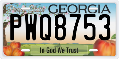 GA license plate PWQ8753