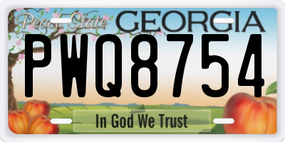 GA license plate PWQ8754