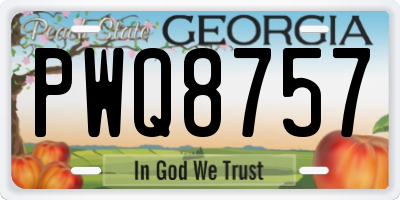 GA license plate PWQ8757