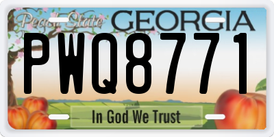 GA license plate PWQ8771