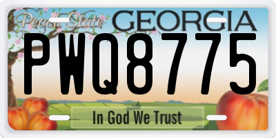 GA license plate PWQ8775