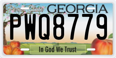 GA license plate PWQ8779
