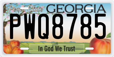 GA license plate PWQ8785