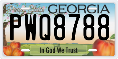 GA license plate PWQ8788