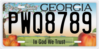 GA license plate PWQ8789