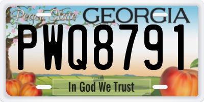 GA license plate PWQ8791