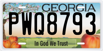 GA license plate PWQ8793