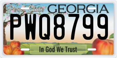 GA license plate PWQ8799