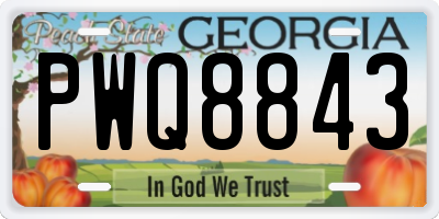 GA license plate PWQ8843