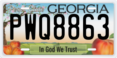 GA license plate PWQ8863