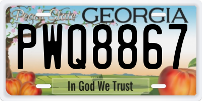 GA license plate PWQ8867