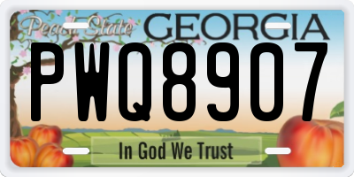 GA license plate PWQ8907