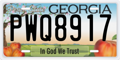 GA license plate PWQ8917