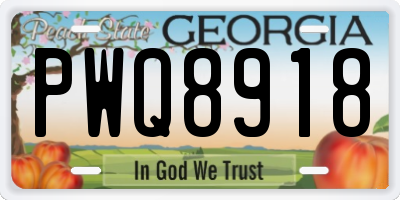 GA license plate PWQ8918