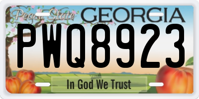 GA license plate PWQ8923