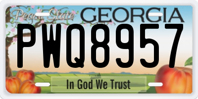 GA license plate PWQ8957