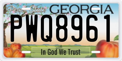 GA license plate PWQ8961