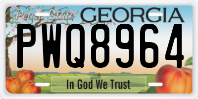 GA license plate PWQ8964