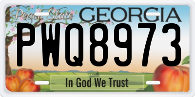 GA license plate PWQ8973