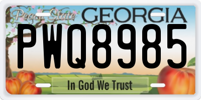 GA license plate PWQ8985