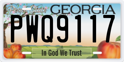 GA license plate PWQ9117