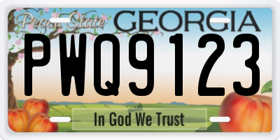 GA license plate PWQ9123