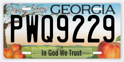 GA license plate PWQ9229