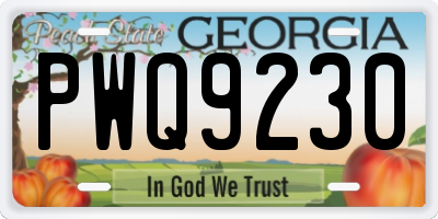 GA license plate PWQ9230