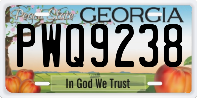 GA license plate PWQ9238