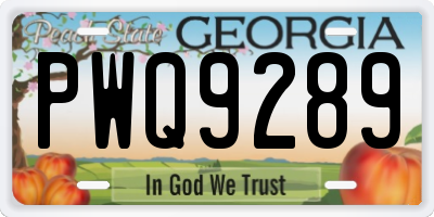 GA license plate PWQ9289