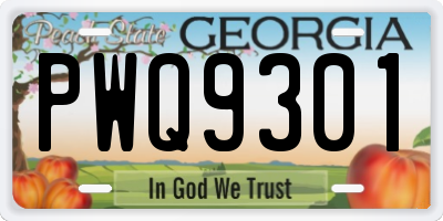GA license plate PWQ9301