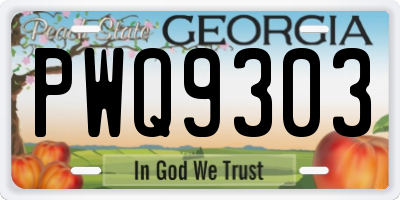 GA license plate PWQ9303