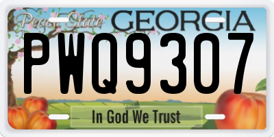 GA license plate PWQ9307