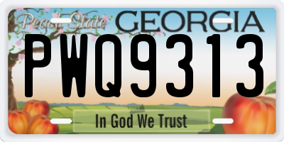 GA license plate PWQ9313