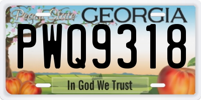 GA license plate PWQ9318
