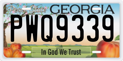 GA license plate PWQ9339