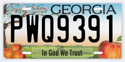 GA license plate PWQ9391