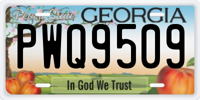 GA license plate PWQ9509