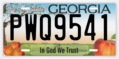 GA license plate PWQ9541