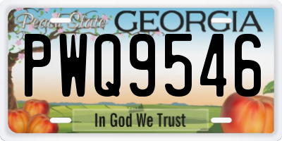 GA license plate PWQ9546