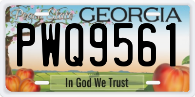 GA license plate PWQ9561