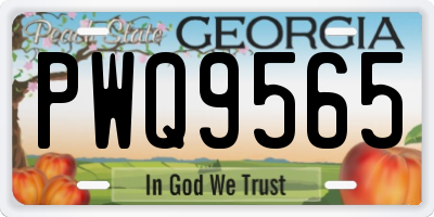 GA license plate PWQ9565