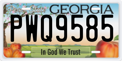 GA license plate PWQ9585