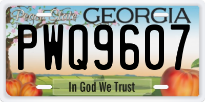 GA license plate PWQ9607