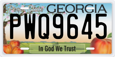 GA license plate PWQ9645