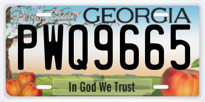 GA license plate PWQ9665
